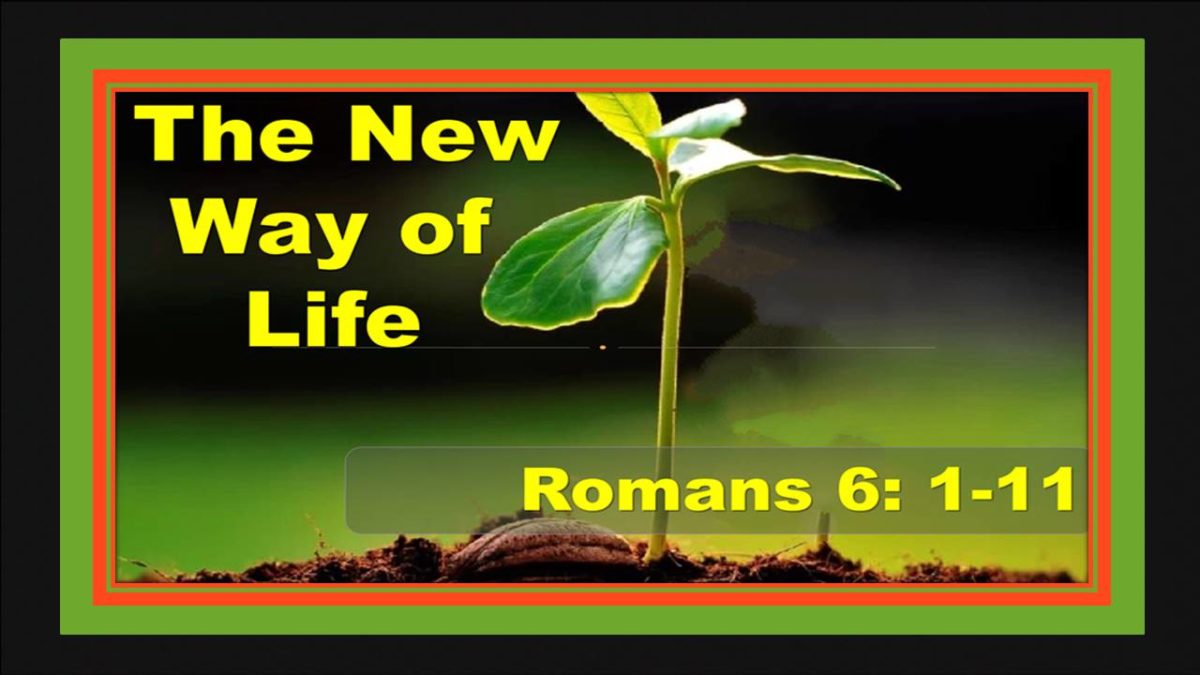 Holiness Past: Romans 6.1-11